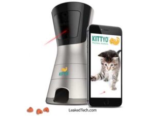 ¿Qué es Kittyo?